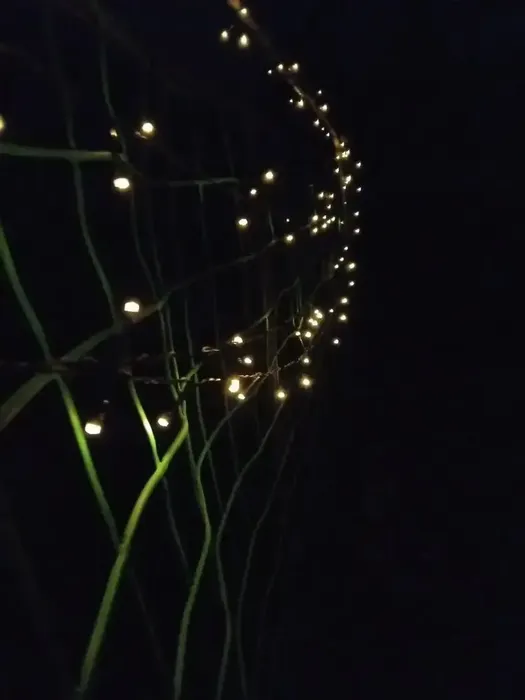 i (5)