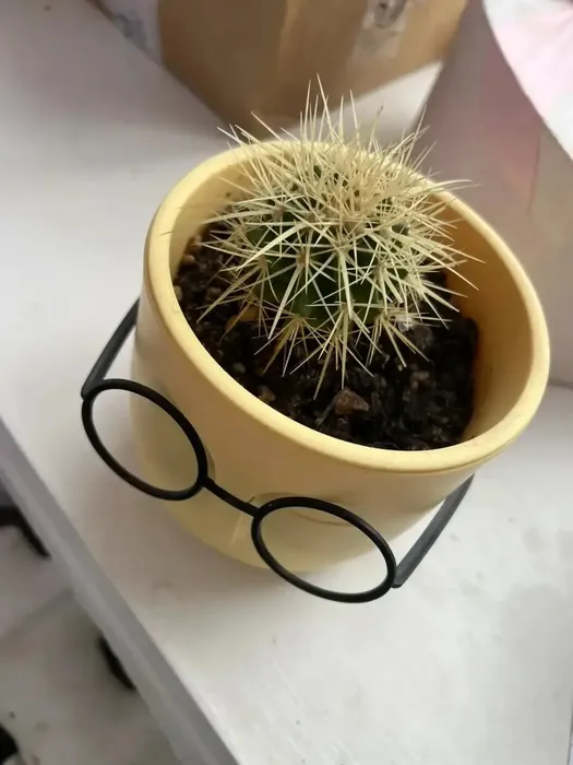 i (6)