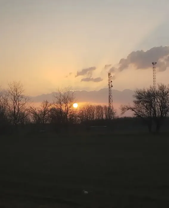 i (8)